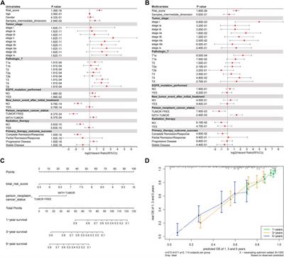 Expression patterns of platinum resistance-related genes in lung adenocarcinoma and related clinical value models